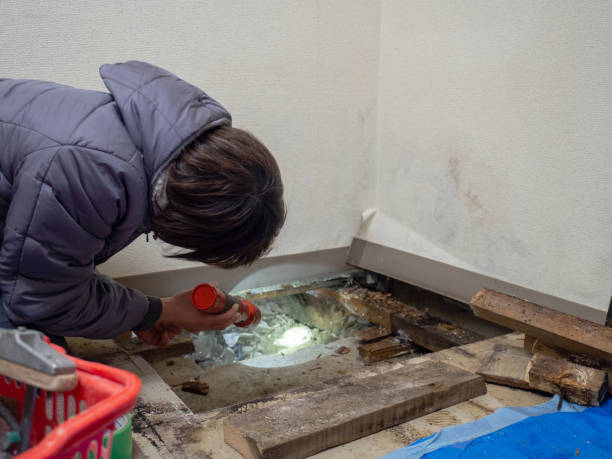 Forensic Mold Investigation in Grand Blanc, MI