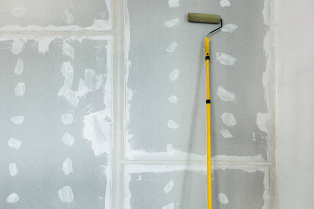 Best Comprehensive Air Testing for Mold Contaminants  in Grand Blanc, MI