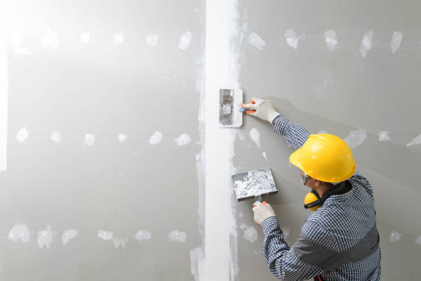 Best Residential Mold Inspection & Testing  in Grand Blanc, MI