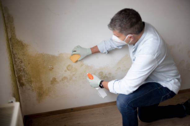 Best HVAC Mold Inspection and Cleaning  in Grand Blanc, MI